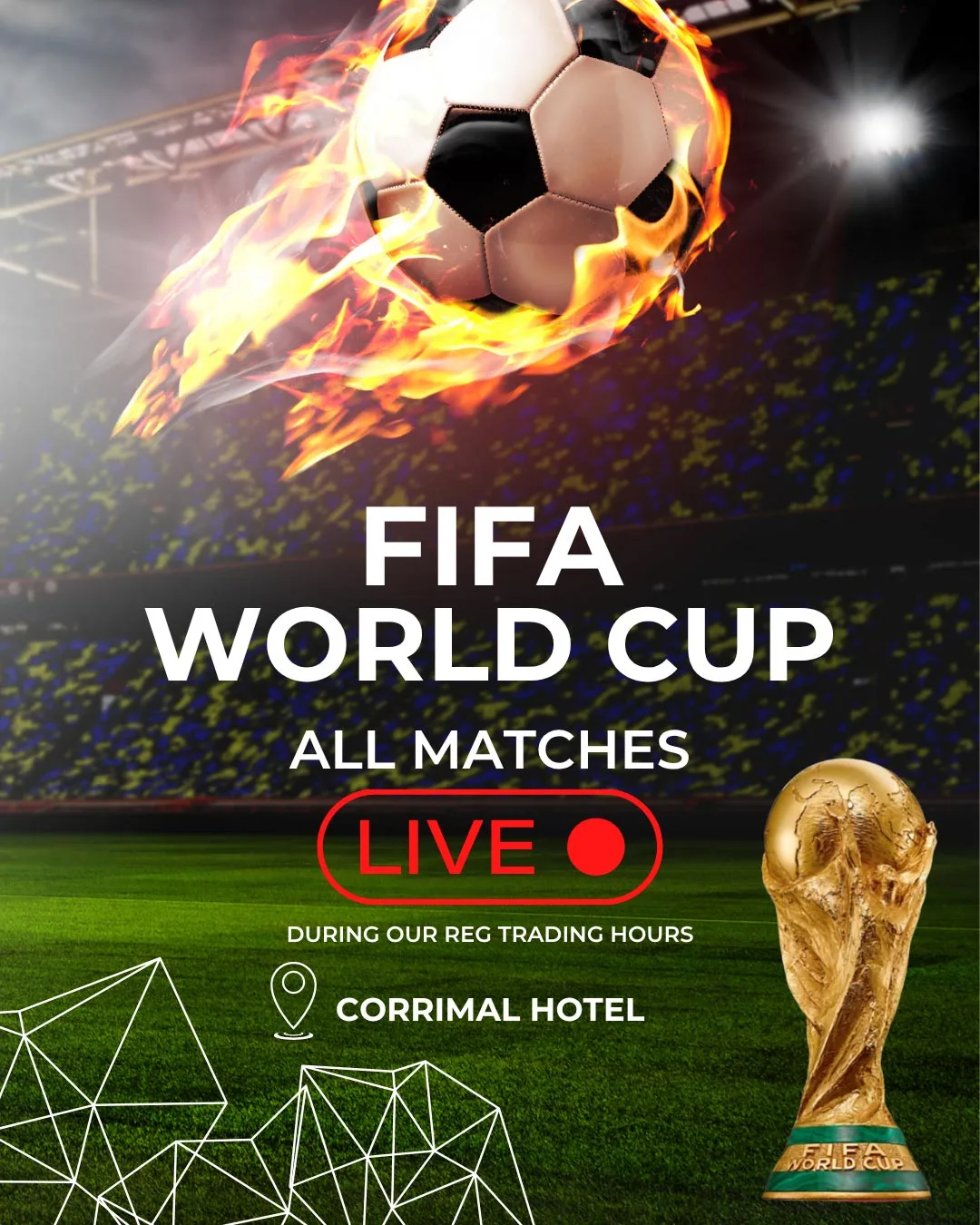 FIFA World Cup (12)